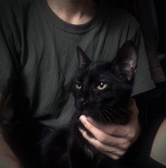 a man holding a black cat in his lap