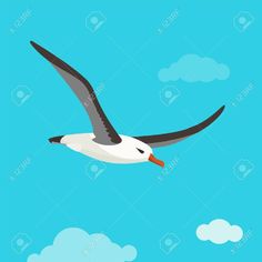 a seagull flying in the sky with clouds