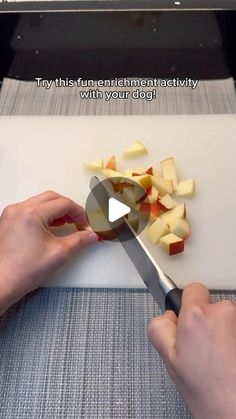 a person cutting apples with a knife on top of a cutting board that says, try this fun experiment activity with your dog