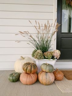 several pumpkins and flowers are sitting on the front porch with grass growing out of them