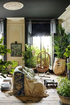 a living room filled with lots of plants and furniture