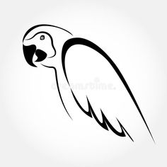 a black and white parrot bird on a white background royalty illustration stock images, illustrations