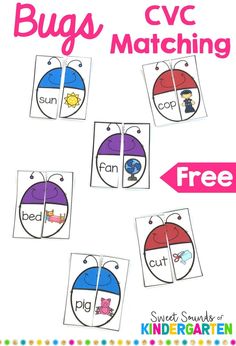 bugs cvc matching worksheet with free printables to help students learn the letter