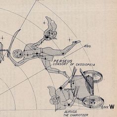 an old diagram shows the various parts of a woman's body and how to use it