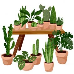 many potted plants are arranged on a wooden shelf in the shape of a houseplant