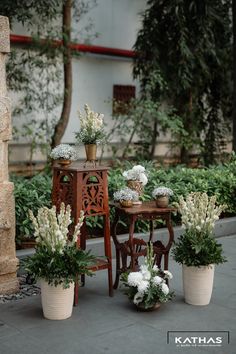 three potted plants sitting next to each other on top of a table in front of a building