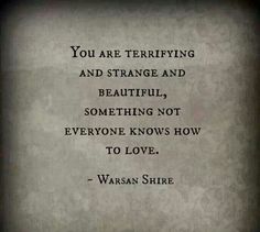 the quote you are terrifying and strange and beautiful, something not everyone knows how to love