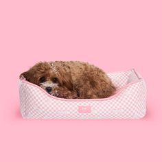 a brown dog laying in a white and pink checkered pet bed on a pink background