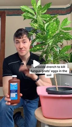 a man sitting on a chair holding an egg in front of a potted plant