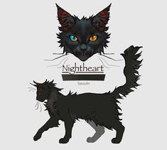 a black cat with blue eyes and the words night heart on it