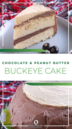 chocolate and peanut butter buckeye cake on a plate with the words, chocolate & peanut butter buckeye cake