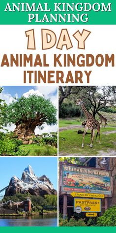 an animal kingdom is shown with the words, 1 day animal kingdom itinerary