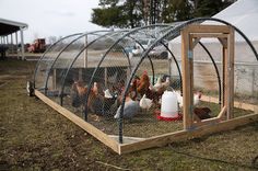 several chickens in a chicken coop on the grass