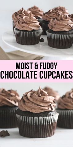 chocolate cupcakes with frosting on top and the words, most & fudy chocolate cupcakes