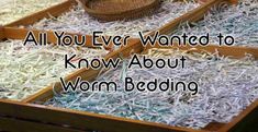 three wooden boxes filled with different types of bedding on top of each other and the words, all you ever wanted to know about worms