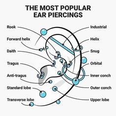 diagram of the most popular ear piercings for men and women in their 20s or 30's