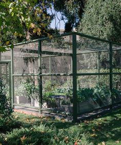 a green house with plants in it on the side of a road next to some trees