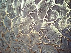 an image of some kind of textured surface