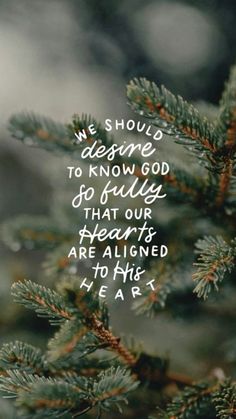 Winter Iphone Wallpaper, Pink Board, Scripture Wallpaper, Christmas Bible Verses, Winter Iphone, Christmas Bible, Bible Quotes Wallpaper, Church Quotes, In Christ Alone