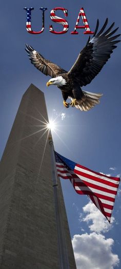 an eagle flying over the washington monument and american flag with the word usa above it