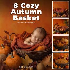 a baby sleeping in a basket surrounded by fall leaves and pumpkins with the title 8 cozy autumn basket digital backgrounds