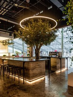 a tree in the middle of a room with chairs around it and lights hanging from the ceiling