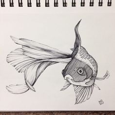 Interesting Ink Animal Drawing Goldfish Drawing, Goldfish Art, Bubble Drawing, Fish Pose, Chicano Drawings, Architecture Drawing Art, Samurai Art, Canvas Painting Diy