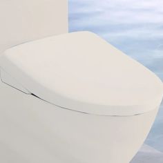 a close up of a toilet seat with water in the background