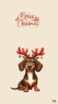 a dog with antlers on its head sitting in front of a merry christmas card