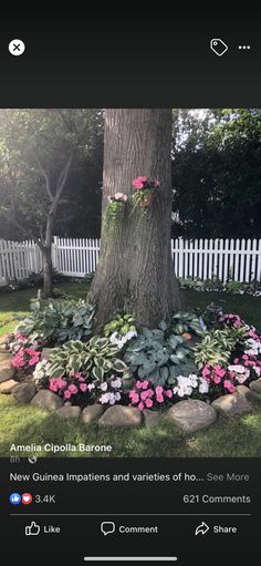 a flower bed in the middle of a yard next to a tree and white picket fence