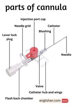 Parts of Cannula Names and Types and Infographics Types Of Nurses, Types Of Injection, Phlebotomy Study, Medical Infographic, Medical Terminology Study, Nursing School Inspiration, Medical Assistant Student, Nursing School Essential, Medical School Life