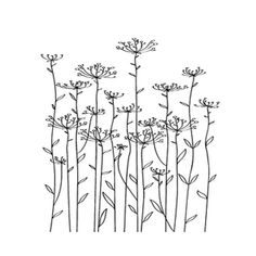 black and white line drawing of flowers on a white background with space for your text