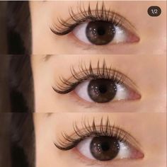 Curly Eyelashes, Perfect Eyelashes, Natural Eyelash Extensions, Eyelash Extentions, Cute Makeup Looks, Makeup Makeover, Makeup Pictures