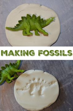 two pictures with the words making fossils on them and an image of a dinosaur