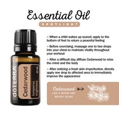 Cedarwood Essential Oil Spotlight Cedarwood Essential Oil Uses, Cedar Wood Essential Oil, Doterra Oil, Essential Oils Health, Cedarwood Oil