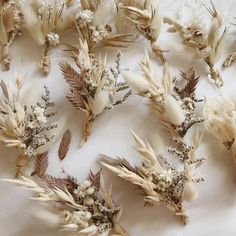 dried flowers are arranged on a white surface