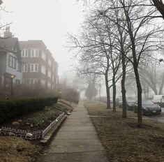 a foggy sidewalk in front of some houses