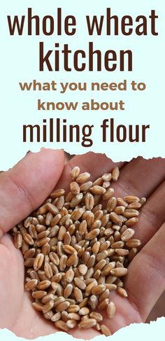 a hand holding grain in it's palm with the words whole wheat kitchen what you need to know about milling flour