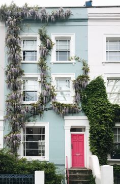 a house with vines growing on it's side and a pink door in front