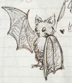 a drawing of a bat flying through the air