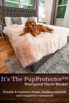 a dog laying on top of a fluffy bed