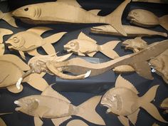 many different types of fish on display in a museum case, including one being cut out from cardboard