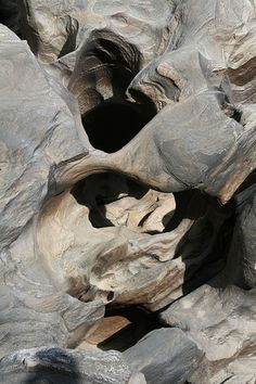 a bird sitting on top of a rock formation