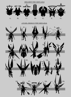 the different types of bugs and their names