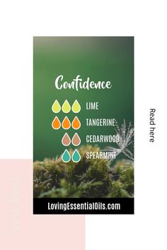 Boost self-confidence with 7 essential oil blends Cedarwood Essential Oil Uses, Room Spray Recipe, Essential Oils Kit, Tangerine Essential Oil, List Of Essential Oils, Aromatherapy Recipes, Essential Oil Carrier Oils, Spearmint Essential Oil, Lime Oil