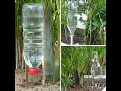 there are three different pictures of glass bottles in the garden