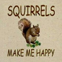 squirrels make me happy on a white background with words that read squrrells