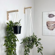 two potted plants are hanging from hooks on the wall next to a planter