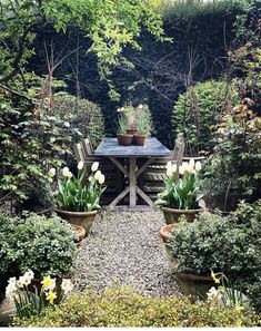 a wooden table surrounded by potted plants and flowers in the middle of a garden