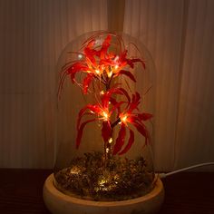 a red plant in a glass dome with some lights on it's base and moss